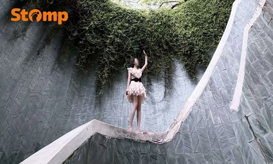 Woman calls out tourists for cutting queue at Fort Canning Tree Tunnel
