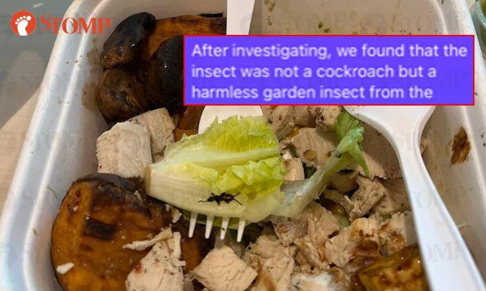 Eatery offers customer vouchers for 'harmless garden insect' in salad, SFA looking into case