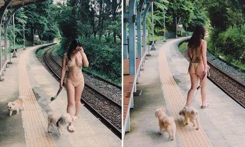 Netizens 'bark' at singer Kimberley Chen after she wore bikini while taking dogs for walk in Taiwan