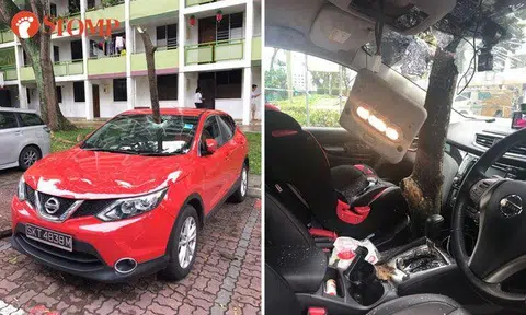 A branch pierces a car's windscreen at Jalan Bukit Ho Swee.