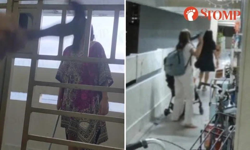 Marine Terrace neighbours at war