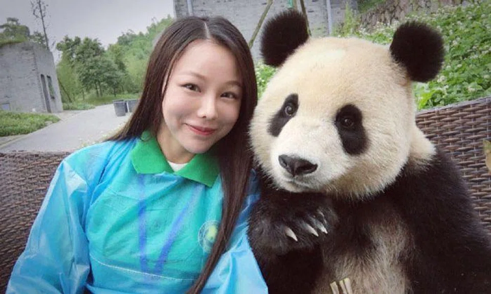 Pretty tourist's selfies with giant panda go viral online... but she's not the star