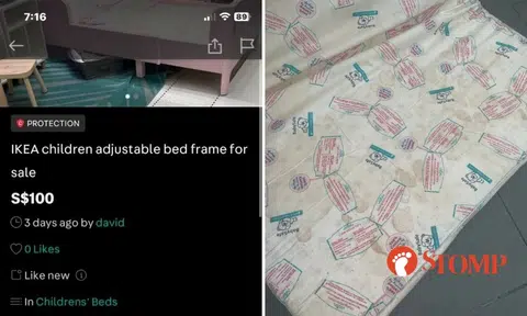 'Like new' children's bed frame with mattress from Carousell turns out to be mouldy and pee-stained