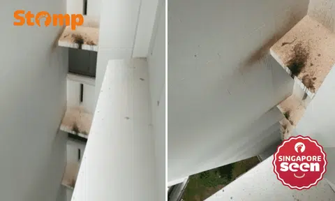 dirty parapets at woodlands