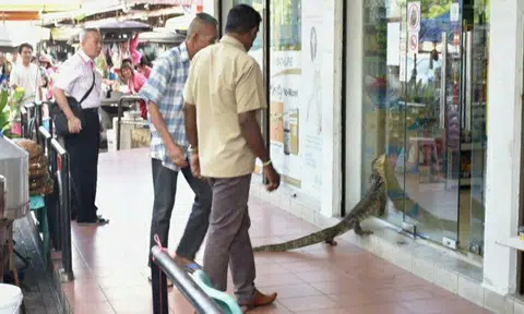 Source: Sherwynd Rylan Kessler Facebook