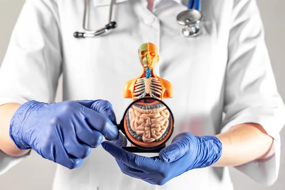 From now till April 30, you can sign up for a free colorectal screening.