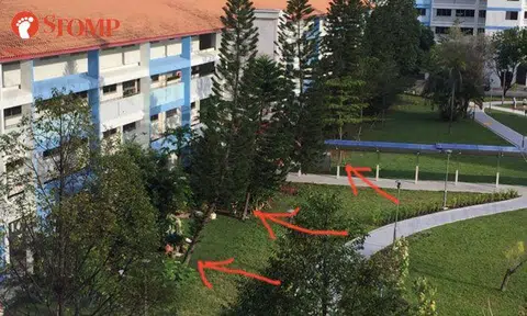 Residents of Blk 413 Pasir Ris turn new public park into their private garden
