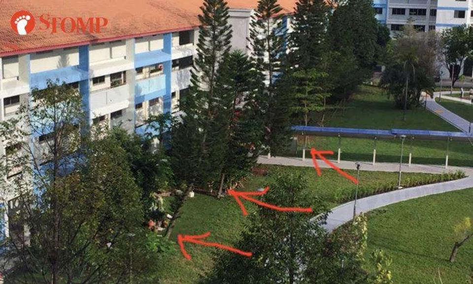 Residents of Blk 413 Pasir Ris turn new public park into their private garden
