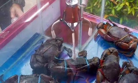 Punggol seafood restaurant slammed for letting patrons catch crabs with 'cruel' claw machine