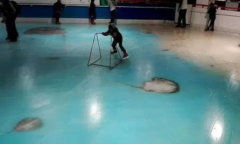 Skating rink in Japan slammed after freezing 5,000 dead fish into the ice