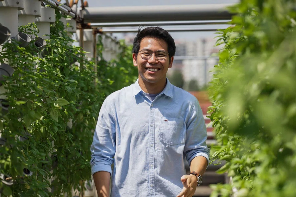 One of Mr Tham's farms is located at a rooftop carpark in Jurong West.