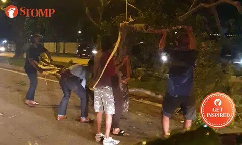 Passers-by band together to carry heavy branch that fell onto Bukit Batok Road