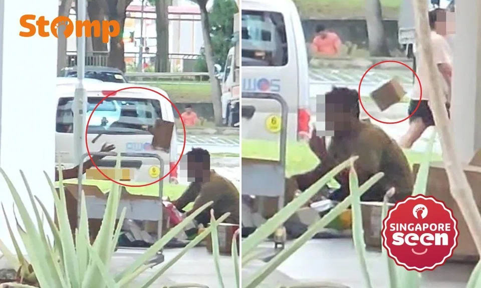 Workers allegedly tossing parcels