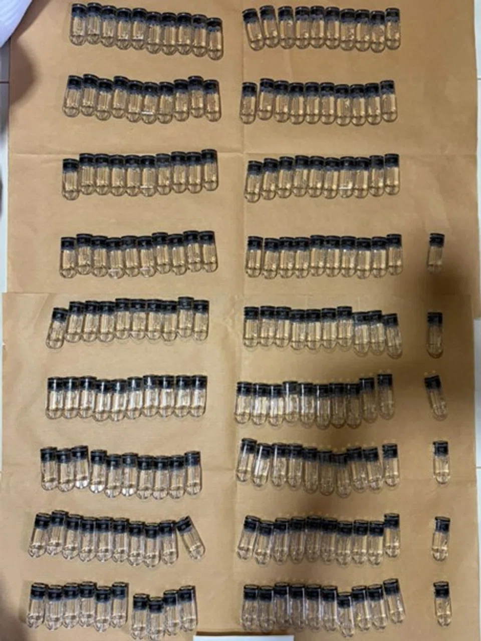 E-vaporiser pods believed to contain etomidate seized in a CNB operation on Sept 24.