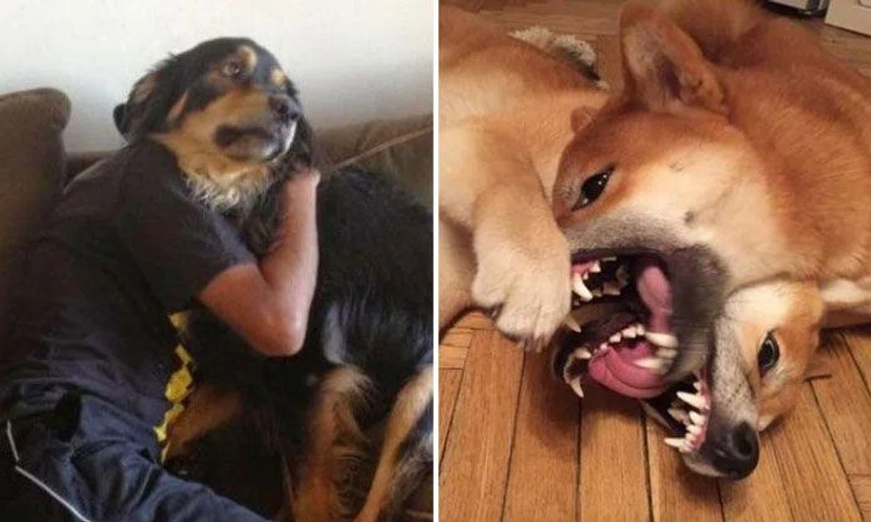 Bizarre photos that will make you do a double take