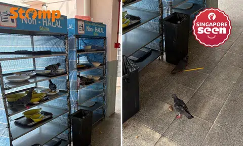 A woman raised safety concerns after dining at Geylang East Market & Food Centre and observing what she felt were “unsanitary and unhygienic” conditions.