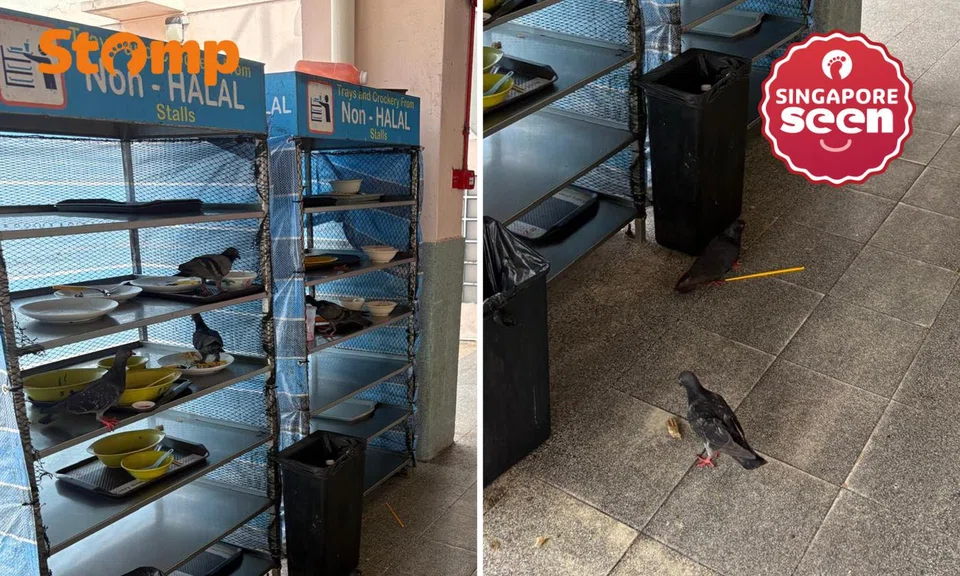 A woman raised safety concerns after dining at Geylang East Market & Food Centre and observing what she felt were “unsanitary and unhygienic” conditions.