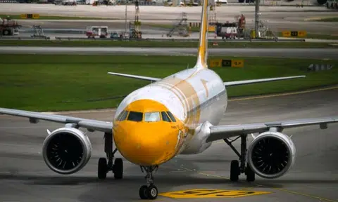 Scoot crew member pocketed nearly $40k in earnings from sale of food, drinks on flights