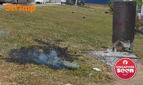 Ex-SCDF serviceman extinguishes grass fire at Defu Lane in Hougang