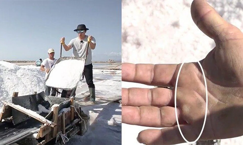 The unseen hard work behind harvesting salt | STOMP