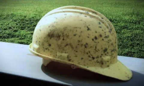 Photo illustration: The Business Times