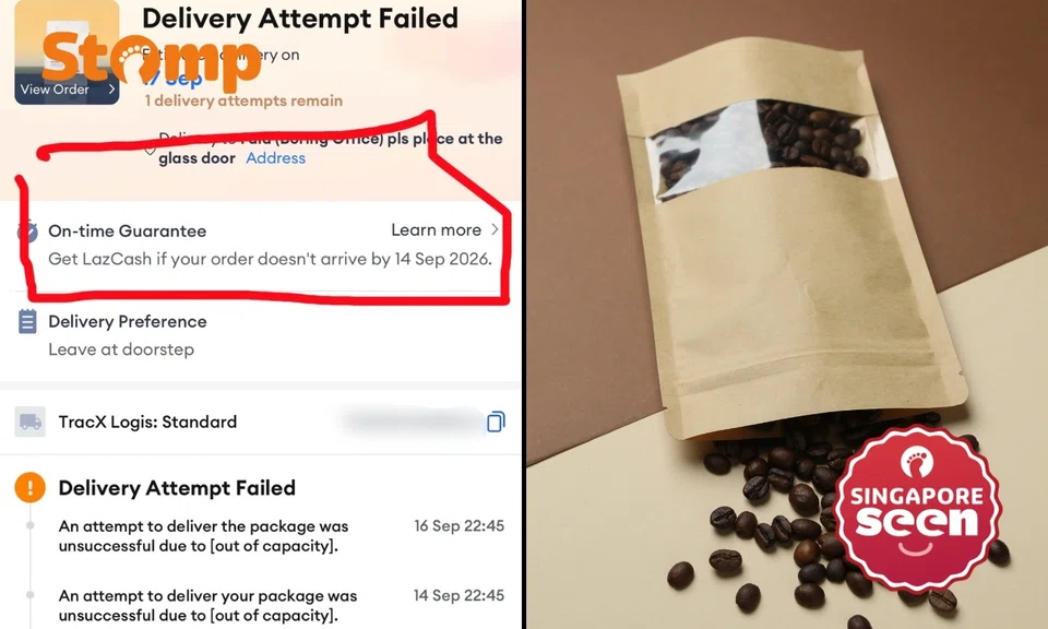 Lazada customer’s order late due to courier’s incapacity, questions why he’s not eligible for on-time delivery compensation