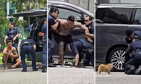 Shirtless man with dog tries to bite police during arrest -- the man, not the dog
