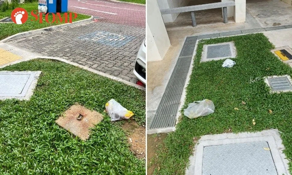 Stomper: "These photos are just some of the many occasions the inconsiderate resident had inappropriately disposed of his/her faeces."