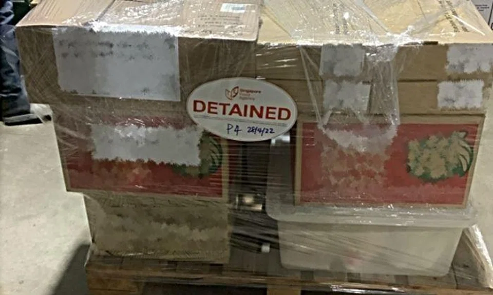 All implicated food products were seized and disposed of.