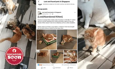 "I just want my oyen back. Thats all," pleads Facebook user Emellia Lullaby.