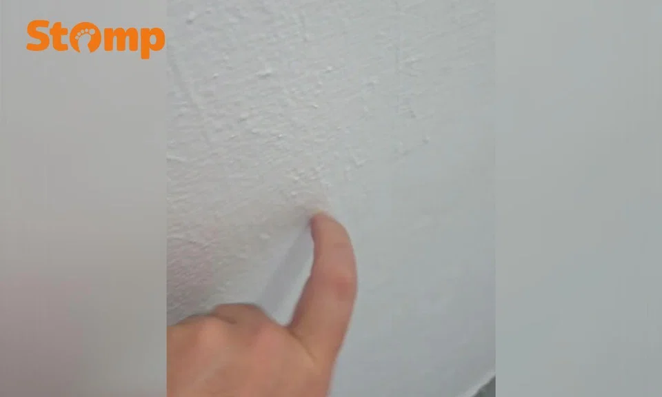 Paint after renovation works appear to be bubbling