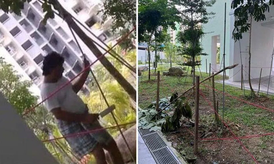 Those found to have chopped down trees can be fined. PHOTOS: TAMPINES TOWN COUNCIL
