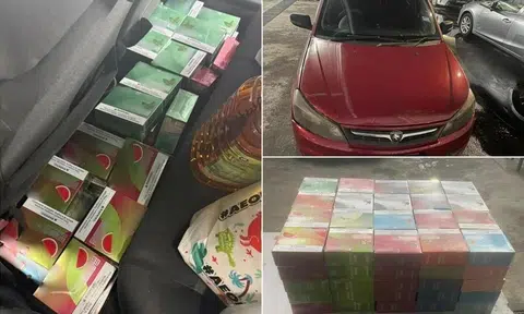 Jail for man who tried to import vapes concealed by groceries into Singapore