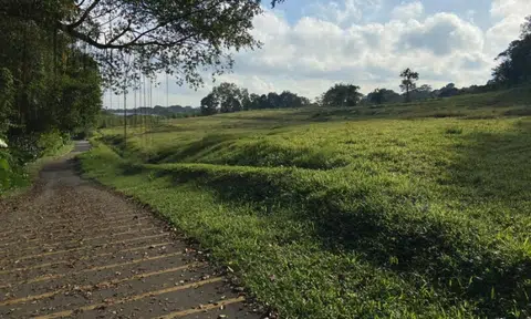 Unconscious man found by passer-by in forested area at Ulu Sembawang Park Connector