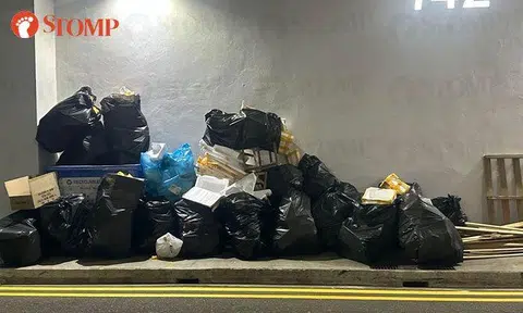 Town council investigating dumping of mountains of trash at Bedok Reservoir block