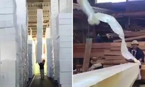 Extraordinary skills that the Japanese possess show efficiency level over 9,000