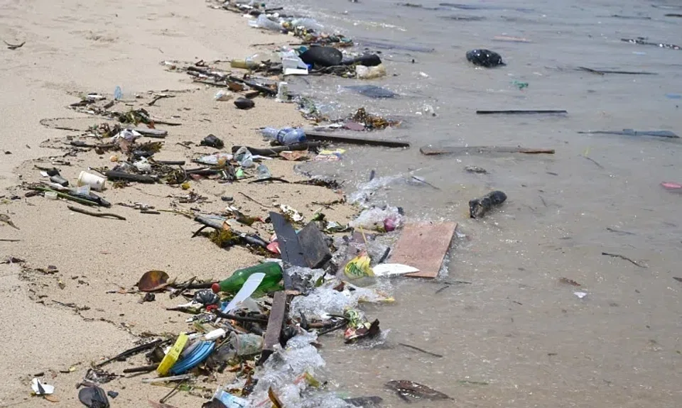 A new study revealed that most trash washed upon Singapore's coasts originated offshore and not from inland sources.
