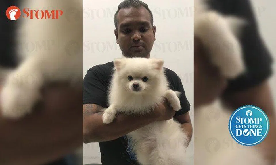 Sniffy being held by an SPCA staffer.