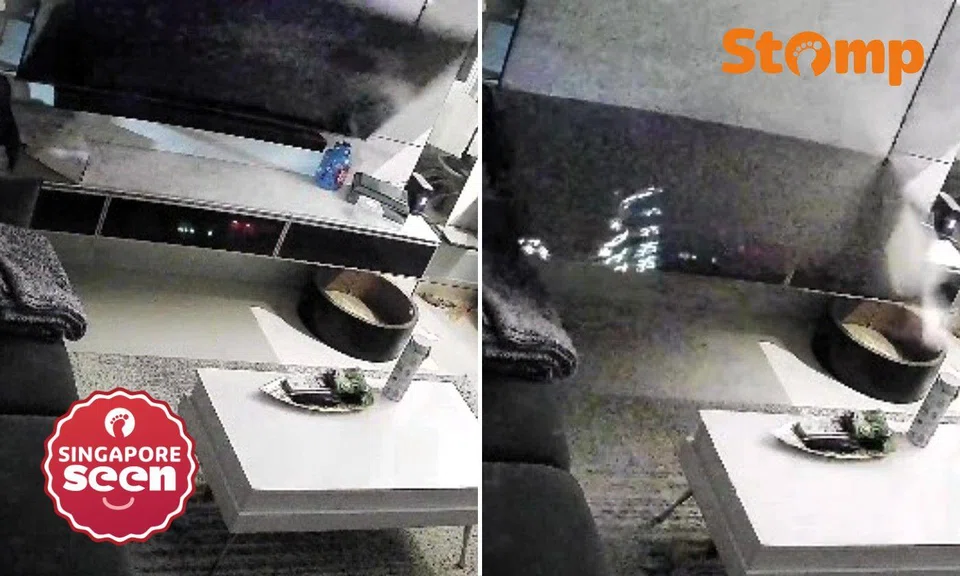 Screen falls off Samsung TV