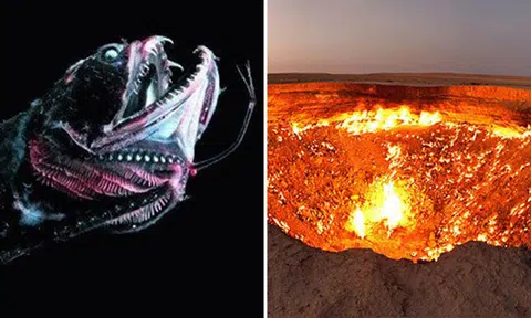 'The Killing Fields' and other scariest places on Earth that will make your heart jump