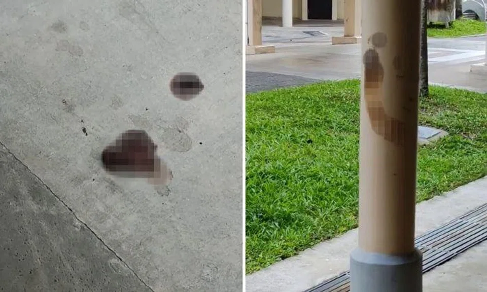 A netizen shared in the group Complaint Singapore videos of what looks like faeces, smeared on the floor and columns in the void deck.