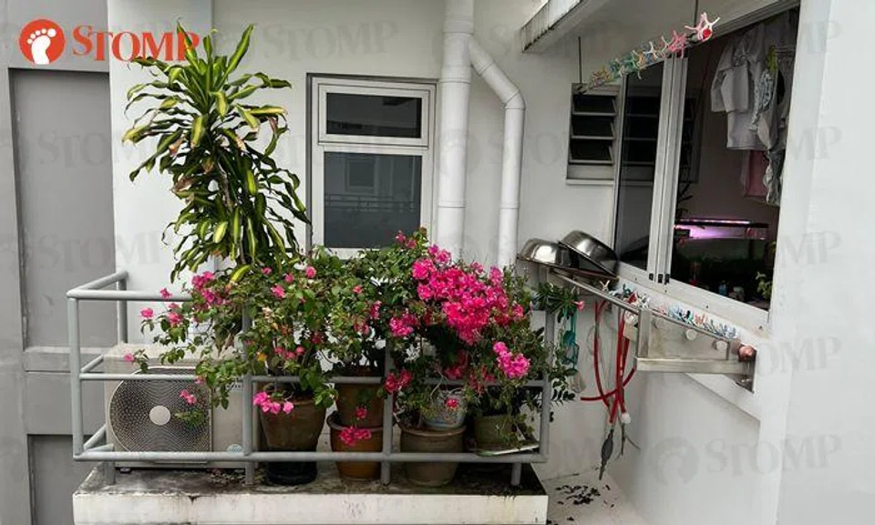Passer-by concerned to see potted plants on 16th-floor aircon ledge in Tampines