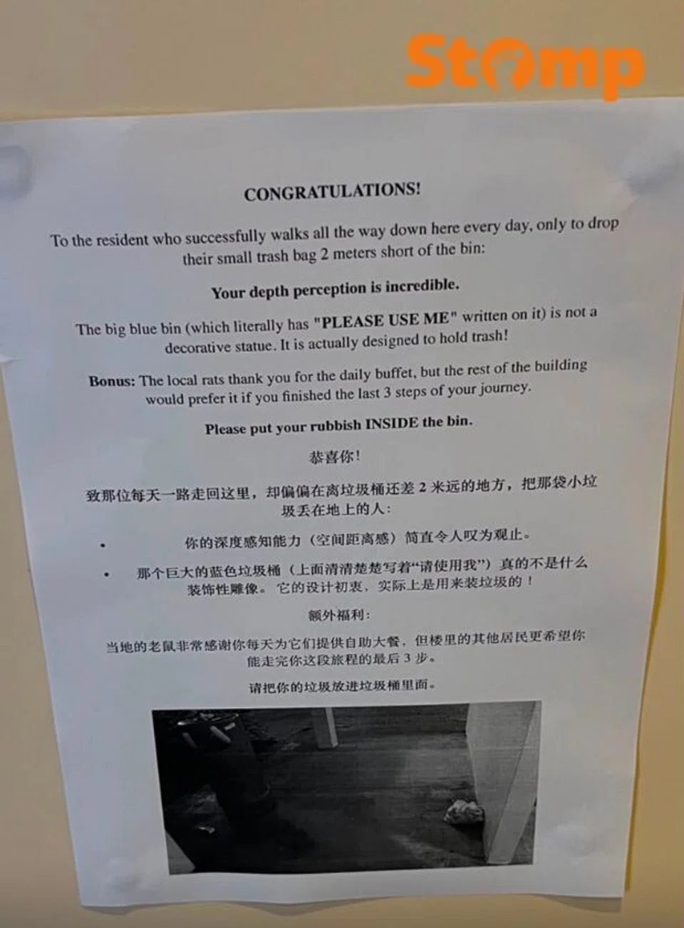 Telok Blangah resident says rats have ‘built an empire’ despite repeated complaints to town council