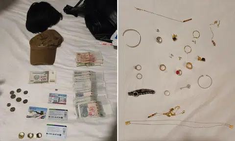 Chinese national arrested for housebreakings in Serangoon Gardens, Sentosa: Jewellery and wig seized