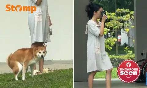 The incident occurred at Block 338 Sembawang Crescent on April 1.