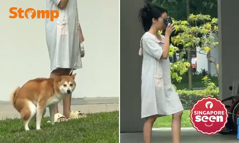 The incident occurred at Block 338 Sembawang Crescent on April 1.