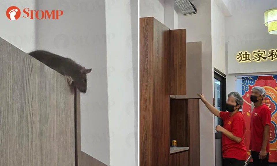 A diner spotted a rat at 126 Dim Sum @ Geylang on July 3.