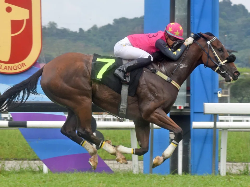 Heart Of Fire (Andre da Silva) making every post a winning one in the Class 3 race (1,050m) on Jan 4. He caught the eye of clockers when running the 600m in 38.7sec on Feb 11.

