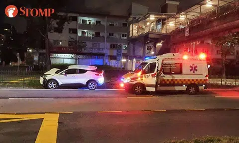Car mounts road divider near Alexandra Mall