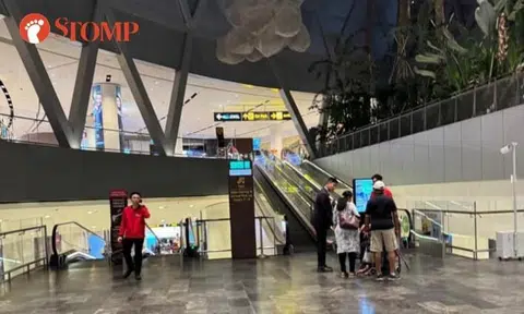 Elderly man falls at end of travellator in Jewel, causing chain collision of baggage and trolleys